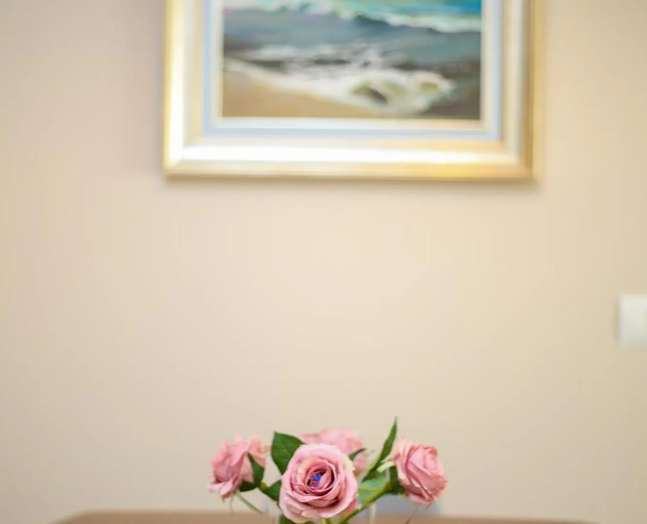 Sofia Apartment Vlore Albania